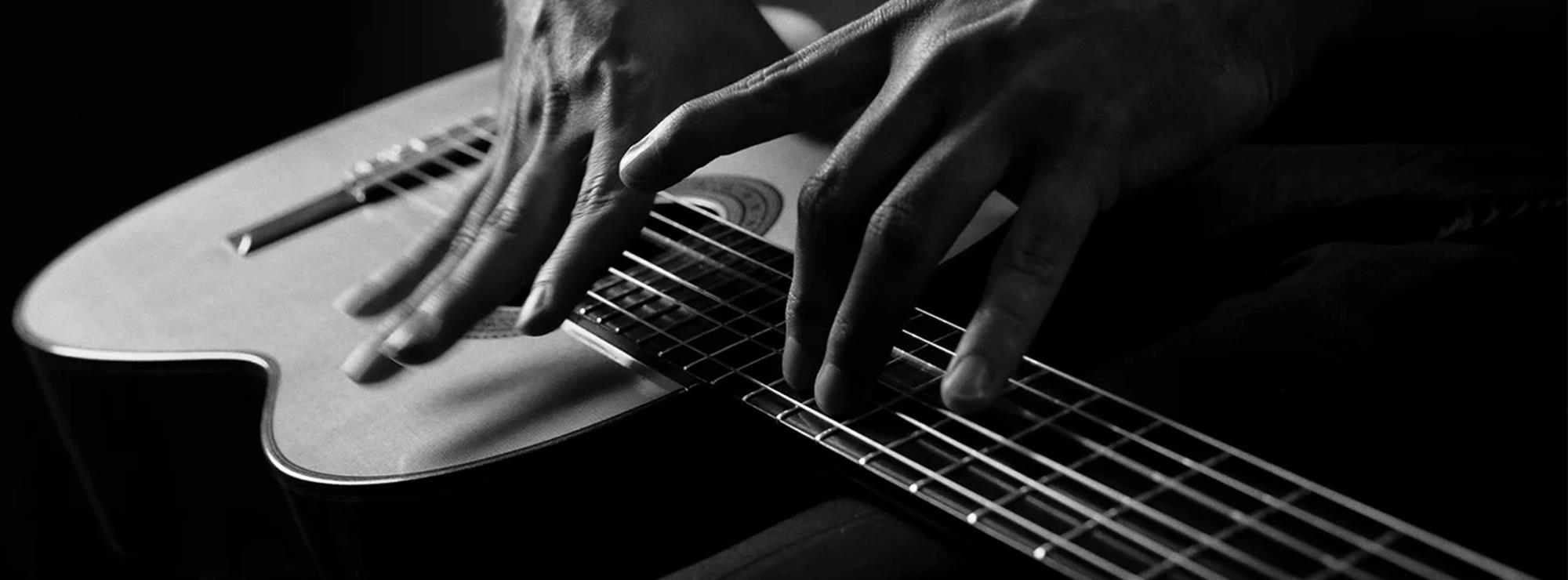 Knobloch Strings Accessories The Guitar Division