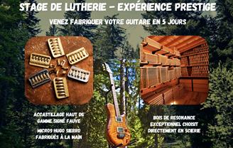Jérôme Skadarka Guitars