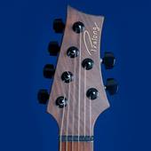 Pralong Guitars