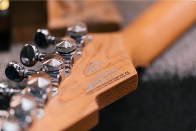 REVEREND Guitar : Accessible Excellence Available on The Guitar Division