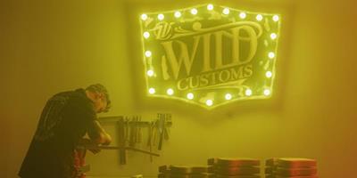 Wild Custom Guitars : L’Excellence Française à l’état sauvage