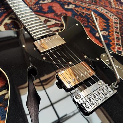 The JOON SWITON Black Cat: The Excellence of the Dejardin Luthier Arrives in Force!