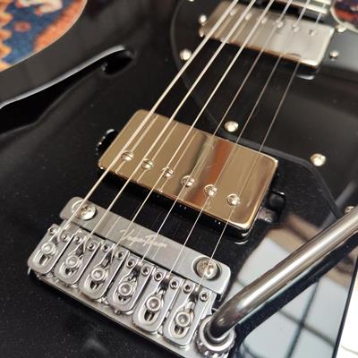 The JOON SWITON Black Cat: The Excellence of the Dejardin Luthier Arrives in Force!