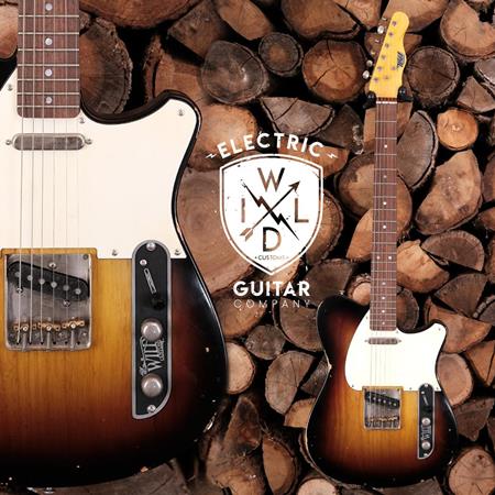 Guitares électriques Wild Custom Guitars - WILD-TV SUNBURST 3 TONS RELIC - Guitares 6 cordes