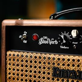 Amps Invaders Amplification - 530 BlueVerb – 10th Anniversary (Head) - Head