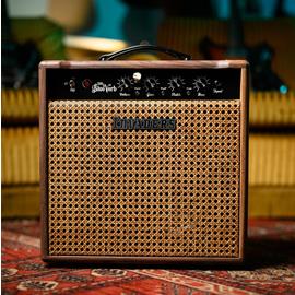 Amps Invaders Amplification - 530 BlueVerb Combo Reverb – 10th Anniversary - Combo