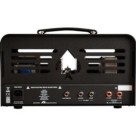 Amps ACE Amplification - ACE Evo - Head
