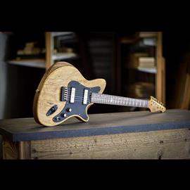 Guitares électriques Altis - Alpine Rock - Guitares 6 cordes