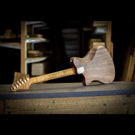 Guitares électriques Altis - Alpine Rock - Guitares 6 cordes