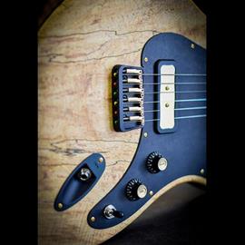 Guitares électriques Altis - Alpine Rock - Guitares 6 cordes