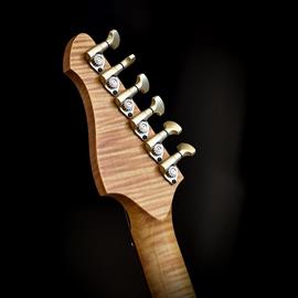Guitares électriques Altis - Alpine Rock - Guitares 6 cordes