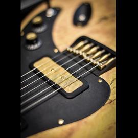 Guitares électriques Altis - Alpine Rock - Guitares 6 cordes