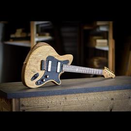 Guitares électriques Altis - Alpine Rock - Guitares 6 cordes