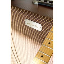 Amplificateurs Guitares Électriques AMI Effects - Attic - Combo