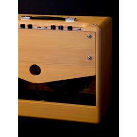 Amplificateurs Guitares Électriques AMI Effects - Attic - Combo