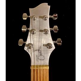 Guitares électriques Ted Guitars - BAUXITE Resonateur - Full Hollow
