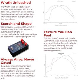 Effets Guitares & Basses RhPf Electronics - Capharnaüm - Fuzz