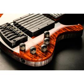 Basses Djerjinski Custom Guitars - Djerjinski Black River - Basse 6 cordes