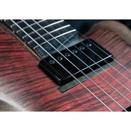 Guitares électriques Ergon Guitars - Ergon BT Luso - Guitares 6 cordes