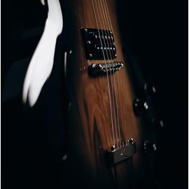 Guitares électriques JOEY MARTIN LUTHIER - Fulton 444 - Semi Hollow