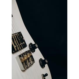 Guitares électriques JOEY MARTIN LUTHIER - FULTON FM - Guitares 6 cordes