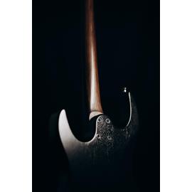 Guitares électriques JOEY MARTIN LUTHIER - Fulton STA - Guitares 6 cordes