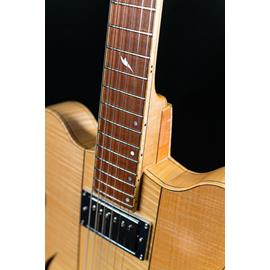 Guitares électriques Hervé Berardet - Guitare et Création - OSIRIS Modular: BlueNote & ModernTimes, le Top de nos guitares OSIRIS! - Semi Hollow