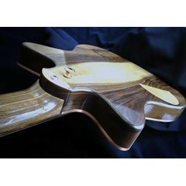 Guitares électriques Hervé Berardet - Guitare et Création - Osiris Sb « SharkyTone » GF \"Seaside\", set GoldFoil, Vibrato et Copper look ! - Guitares 6 cordes