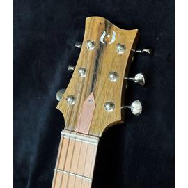 Guitares électriques Hervé Berardet - Guitare et Création - Osiris Sb « SharkyTone » GF \"Seaside\", set GoldFoil, Vibrato et Copper look ! - Guitares 6 cordes