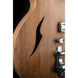 Electric guitars Hervé Berardet - Guitare et Création - OSIRIS Stray'Notes - Semi Hollow