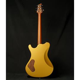 Guitares électriques Rui Silva Custom Guitars & Basses - Selene Carved Top Gold - Guitares 6 cordes