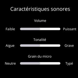 Ac­ces­soires pour Gui­tares & Basses Euterpe Micros - Set Humbucker Vintage Hot Capots pleins chrome bleutés - Guitare électrique
