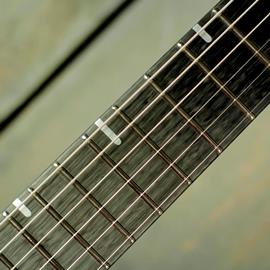 Guitares électriques San Lorenzo - T-SKIN - Guitares 6 cordes