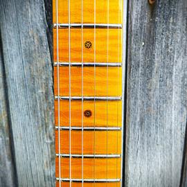 Guitares électriques WIZARD GUITARS - Telecaster Thineline Irontop - Guitares 6 cordes