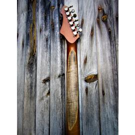 Electric guitars WIZARD GUITARS - Trigger - 6-string guitars