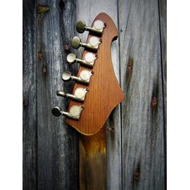Guitares électriques WIZARD GUITARS - Trigger - Guitares 6 cordes